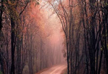 湖人VS掘金西部决赛，谁能笑到最后？